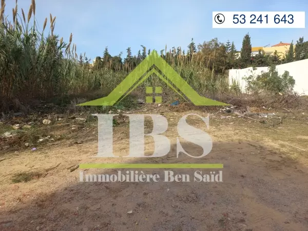 Immobilière Ben Saïd