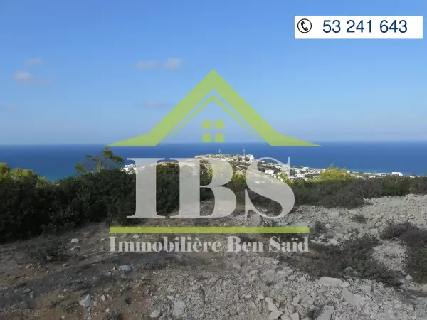 Immobilière Ben Saïd