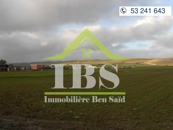 Immobilière Ben Saïd